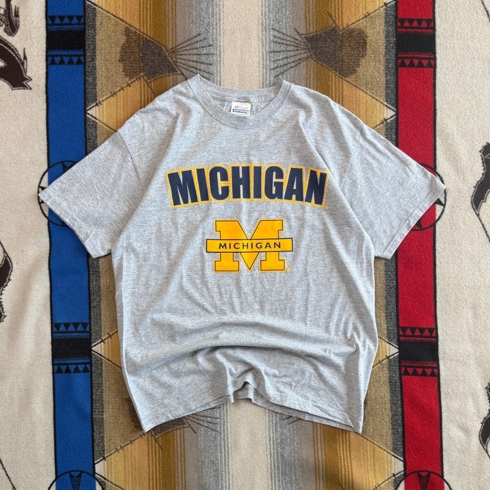 Hanes Heavyweight Michigan Wolverines T-Shirt Mens Large Gray Block M NCAA Logo